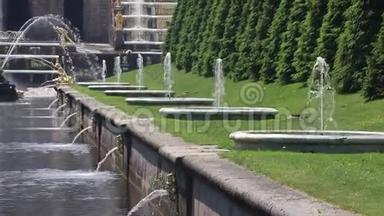 彼得霍夫<strong>山参</strong>孙瀑布。 彼得霍夫最重要的喷泉。 俄罗斯喷泉。 公园套曲。 黄金雕像。 俄罗斯、S